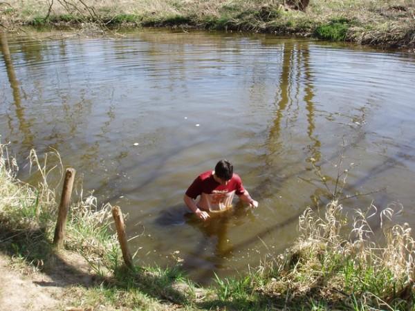 Kachnovo osumnáctky